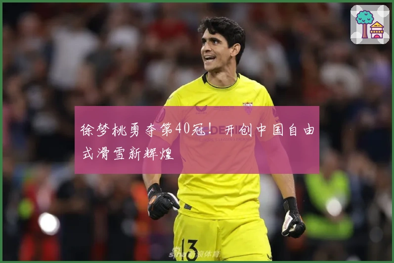 徐梦桃勇夺第40冠！开创中国自由式滑雪新辉煌