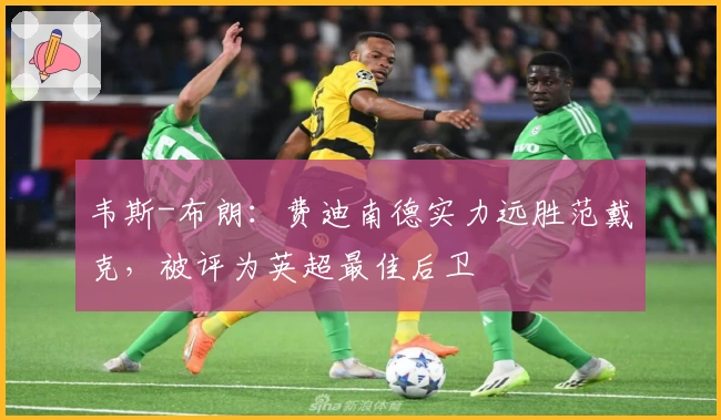 韦斯-布朗：费迪南德实力远胜范戴克，被评为英超最佳后卫